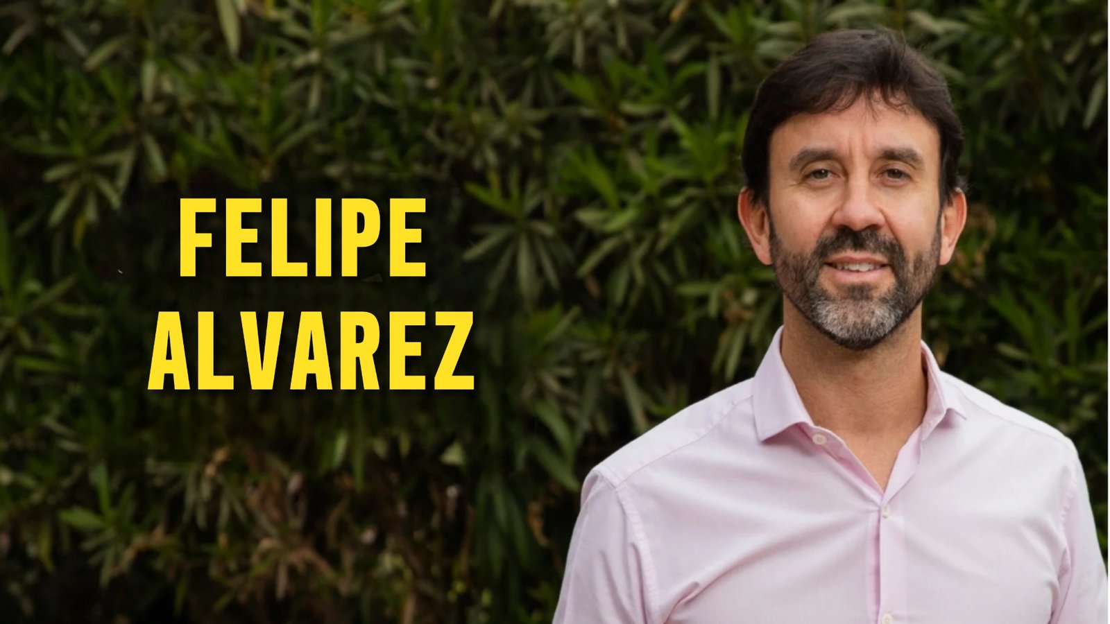 Inicio Felipe Alvarez